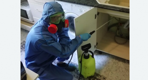 Уничтожение муравьев в квартире. Абинск