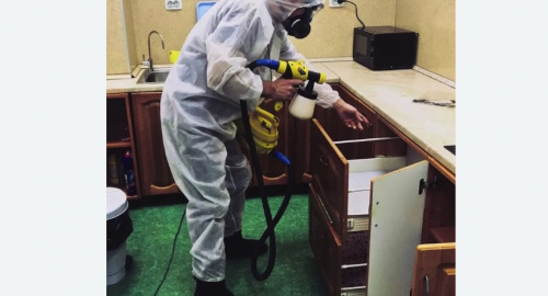 Уничтожение насекомых в квартире. Абинск