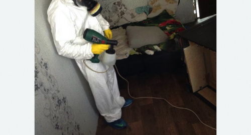 Обработка квартир от насекомых в Абинске