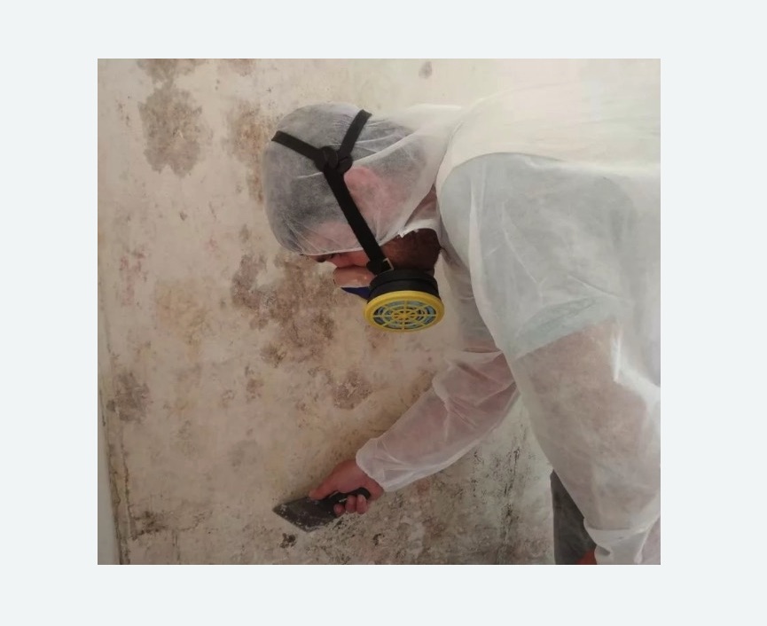 Обработка стен от плесени в Абинске