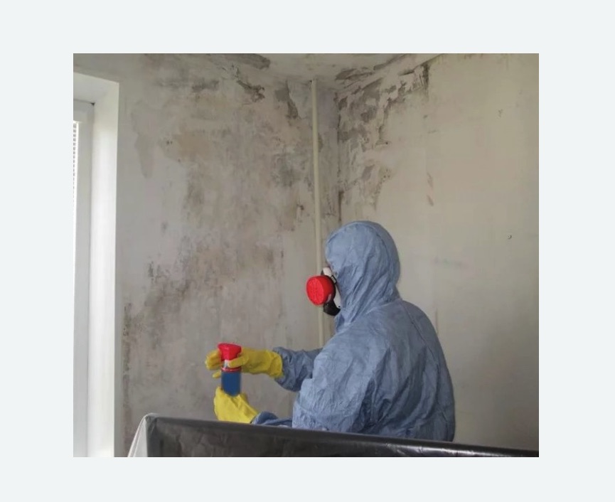 Удаление плесени в квартире в Абинске