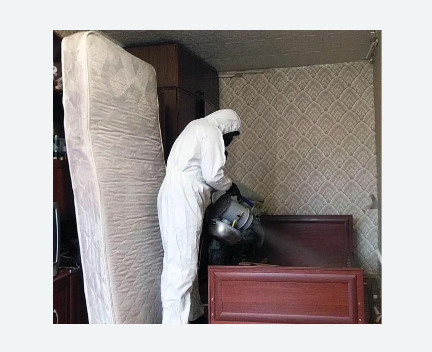 дезинфекция от клопов в Абинске