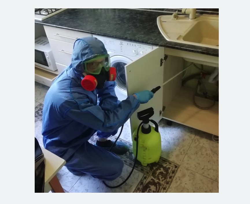 обработка от муравьев в квартире в Абинске