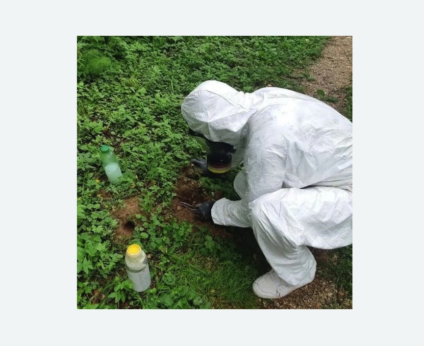 уничтожение кротов на участке в Абинске