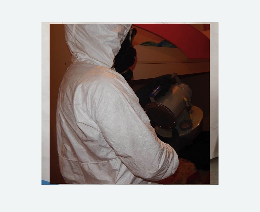 Дезинфекция от муравьев в Абинске