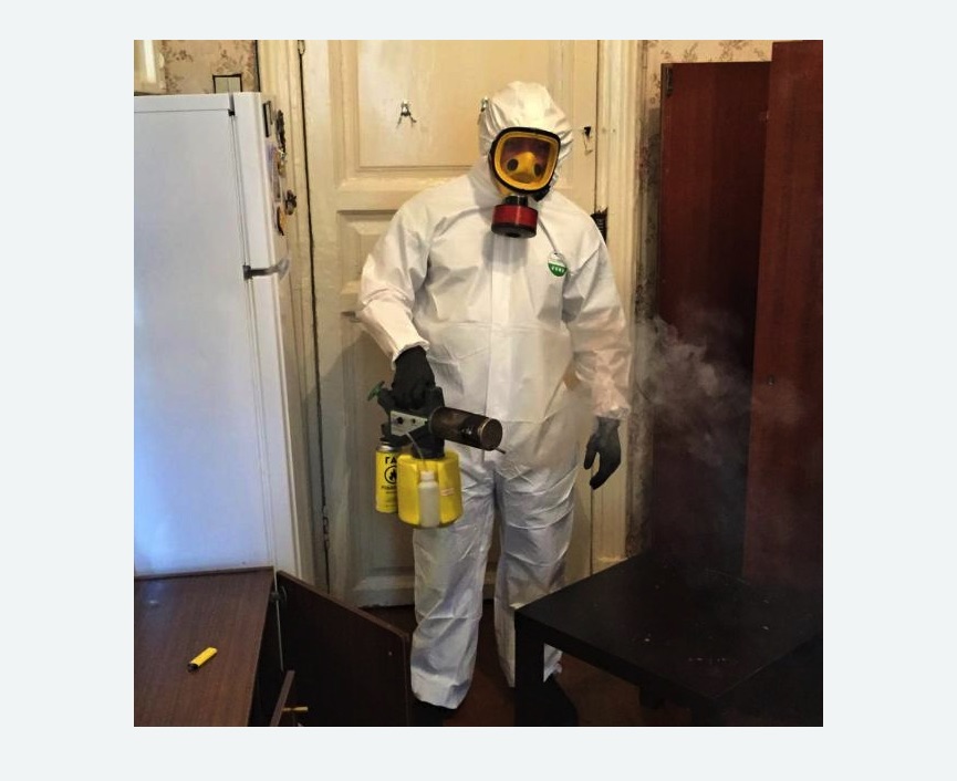 уничтожение муравьев в квартире в Абинске